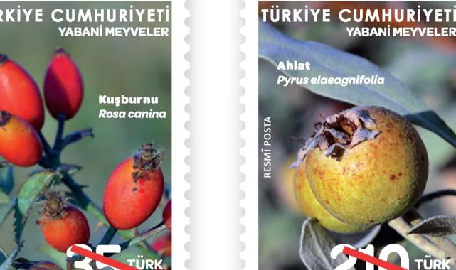 PTT temalı posta pullarını basımını sürdürüyor