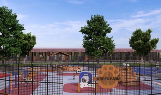 Sakarya’da sahipsiz hayvanlar doğal alanına kavuşacak