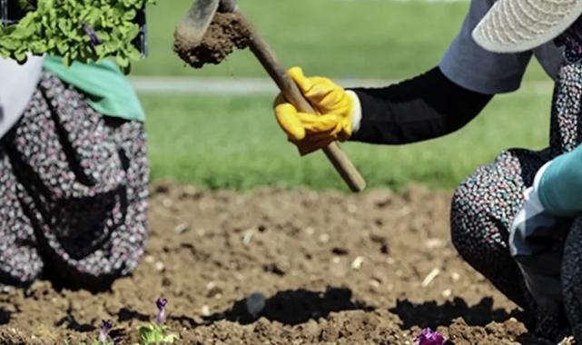 Şehir peyzajcılarına standart geliyor… 81 ilin bitki rehberi hazırlanıyor