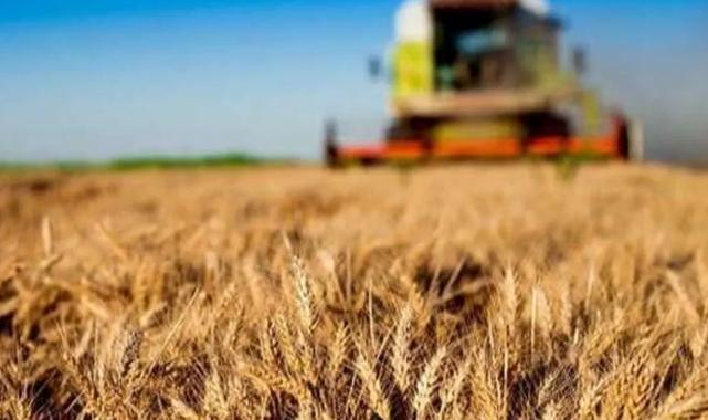 Sivaslı çiftçi tarımsal destek ödemelerinin peşinde! Sivaslı üreticilerden destek tepkisi!