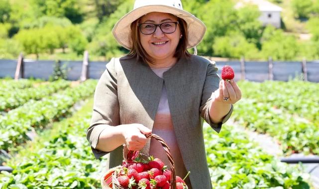 Tarım zirvesi başlıyor: Sektörün öncüleri Gaziantep’te buluşuyor