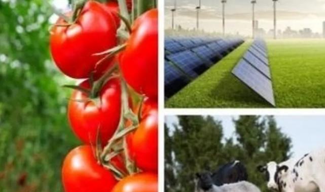 Tarıma dayalı yatırımlarıda hibelere ilişkin kriterler netleşti