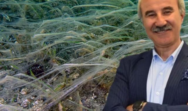 Türkiye gündemi değişse de Marmara’da gündem aynı! 4 aydır Marmara’nın gündemi müsilaj