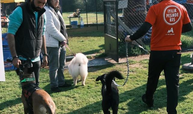 Türkiye’de ilk kez Köpekli Labirent Oryantiring yarışması yapıldı