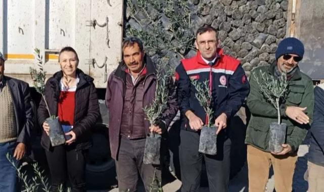 Uşak’ta çiftçilere 5 bin zeytin fidanı dağıtıldı!