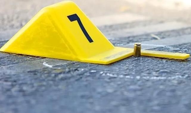 2024 yılında 394 kadın öldürüldü