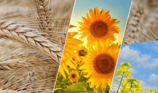 2,6 milyar TL’lik tarımsal destek ödemesi yapılacak