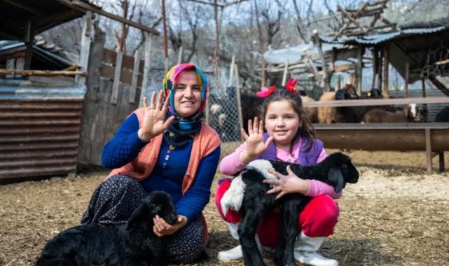 300 yetiştiriciye 7 bin 500 küçükbaş hayvan desteği