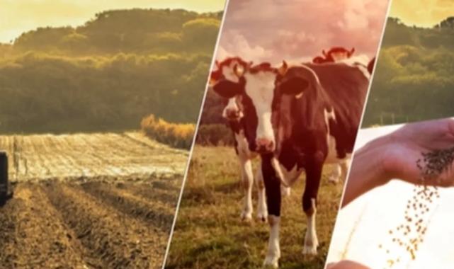 5,6 milyar TL’lik destekleme ödemeleri yapılıyor