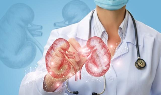 Abdi İbrahim Otsuka Medikal Direktörlüğü