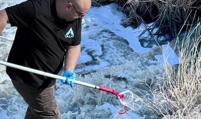 Adana Ceyhan’daki balık ölümlerine inceleme… Numuneler alındı, tesislere idari yaptırım yolda