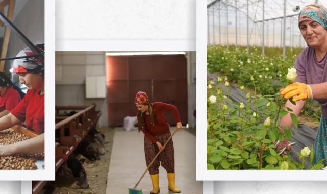 Anadolu toprakları bereketleniyor… IPARD III 5 farklı kategoride can suyu olacak