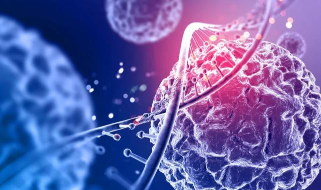 Bakan Memişoğlu duyurdu… CAR-T hücre tedavisinde yerli üretim