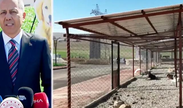 Bakan Yerlikaya sahipsiz hayvanlarla ilgili Batman’dan açıklama yapıyor