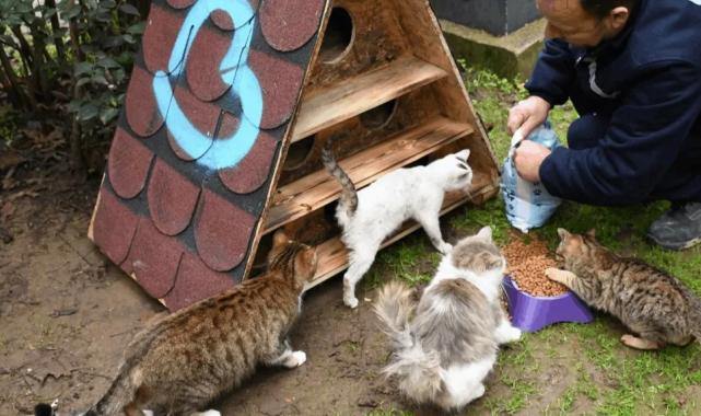 Balıkesir’de patili dostlara sıcak yuva