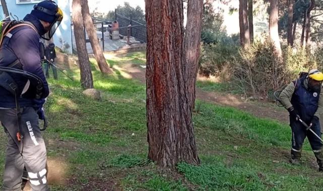 Bursa Gemlik’te yeşil seferberlik