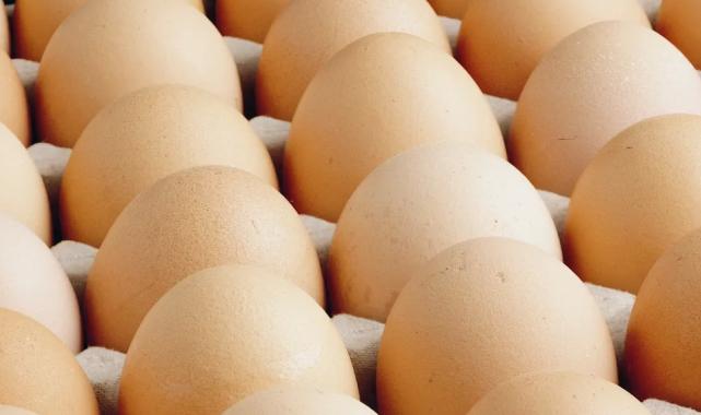 Egeli ihracatçılar: Yumurtada fon kesintisi ihracatı durduracak bir karar!