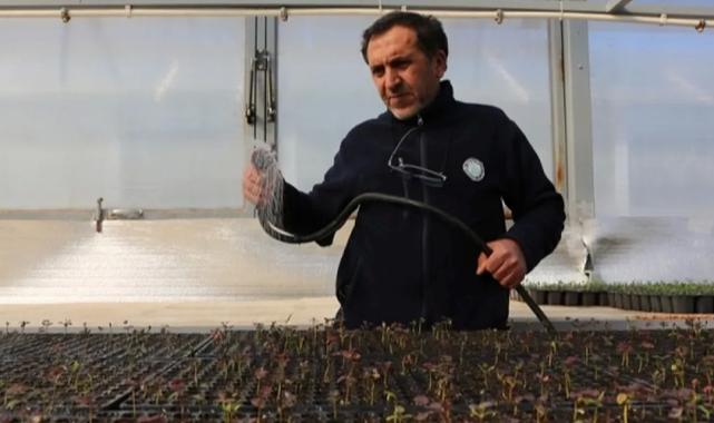 Eskişehir’in yeşil yüzü şehri süslüyor