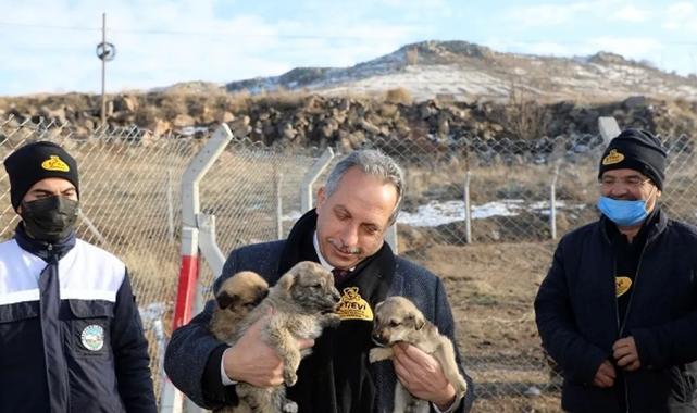 Kayseri Talas’a Türkiye’ye örnek Pati Evi
