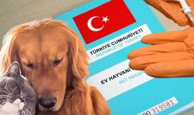 Kimliklendirilmeler yıl sonuna uzatıldı!