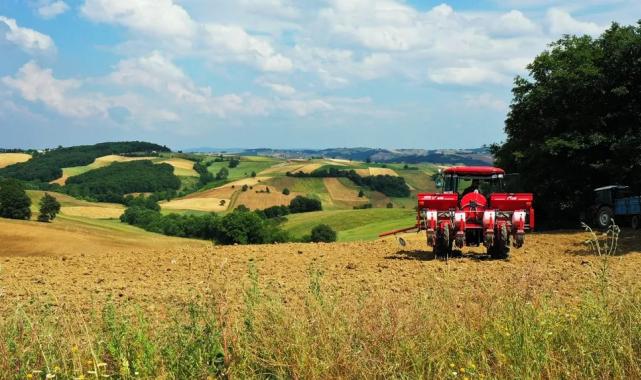 Kocaeli’de 56 bin dekar mısır tarlası bereketlenecek