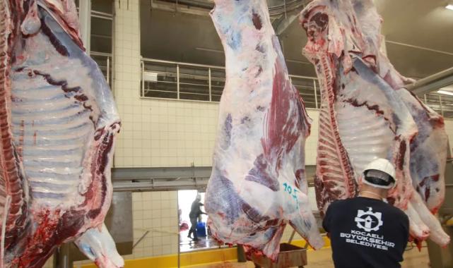 Kocaeli’de sağlıklı ve güvenilir etin adresi Belediye Mezbahası