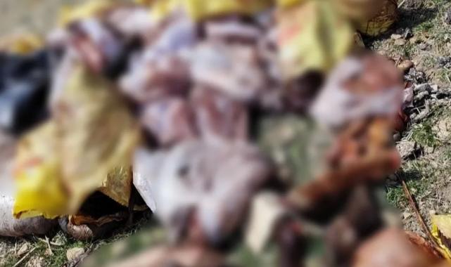 Mardin Yeşilli’den ‘kaçak et kesimi’ iddialarına yanıt