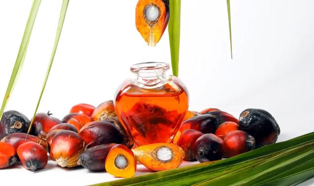 Palm yağıyla ilgili yanlış algılar çürütüldü!