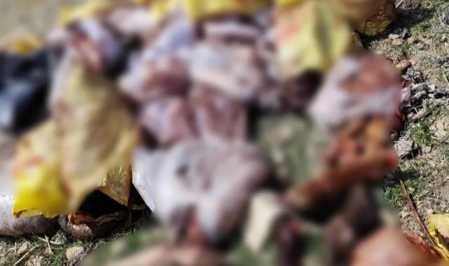 Ramazan ayında vatandaşa eşek eti yedireceklerdi