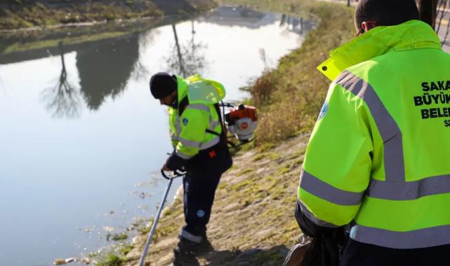 Sakarya’da Çark Deresi’nde bahar temizliği başladı