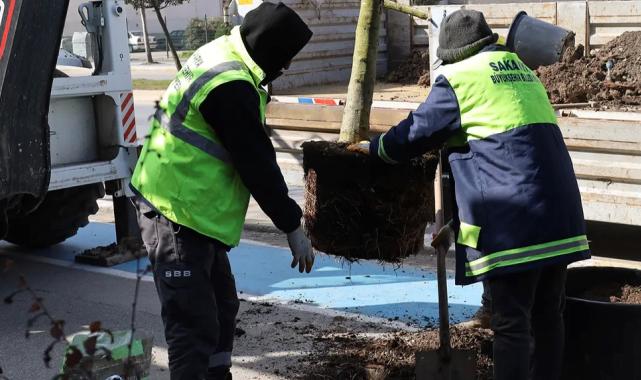 Sakarya’da yeşil’ dokunuşla şehrin çehresini değiştiriyor