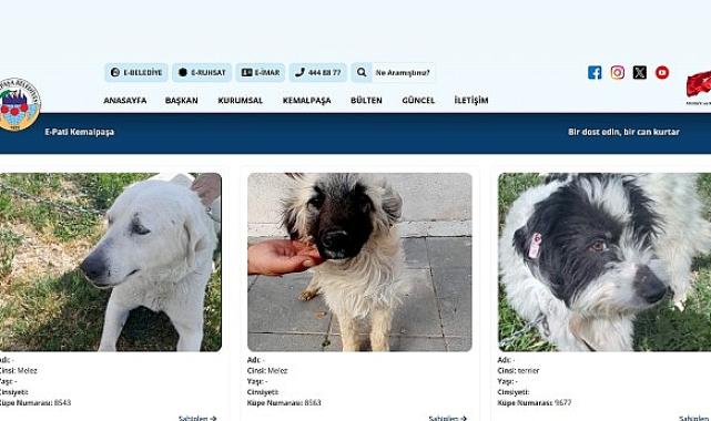 Sıcak Yuvalara Dijital Köprü: E-Pati Kemalpaşa