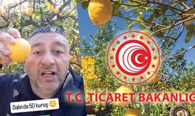 Sözde çiftçinin yalanını Bakanlık söndürdü!