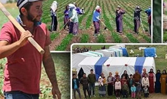 Tarım işçilerine en yüksek ödeme yapan iller?