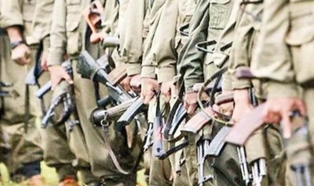 Terör örgütü PKK ateşkes ilan etti