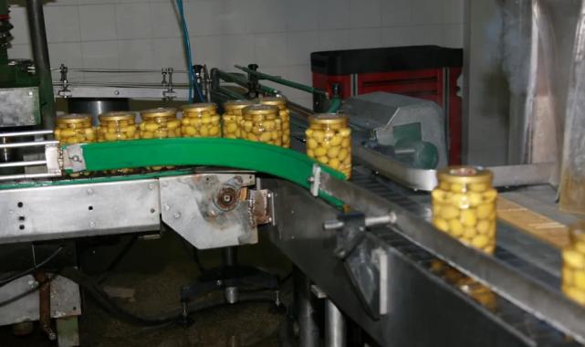 Türk zeytincilik sektörü ABD’de yüzde 10 pay hedefliyor