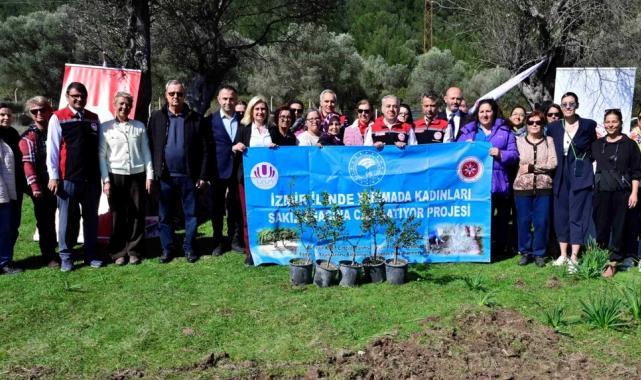 Yarımada kadınları sakız ağacına can katıyor