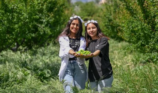 4. Göksu Gravga Şenliği’nde lezzet ve eğlence bir arada