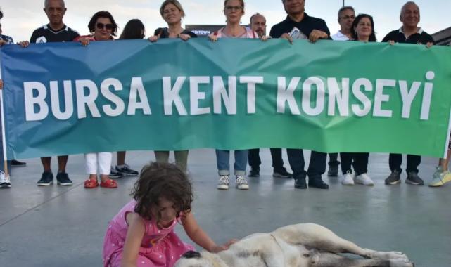 Bursa Kent Konseyi’nden Gemlik’teki yavru kedi vahşetine kınama!