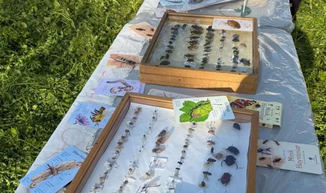 Bursa Osmangazi’de ‘Böcek Bilim’ buluşması yapıldı