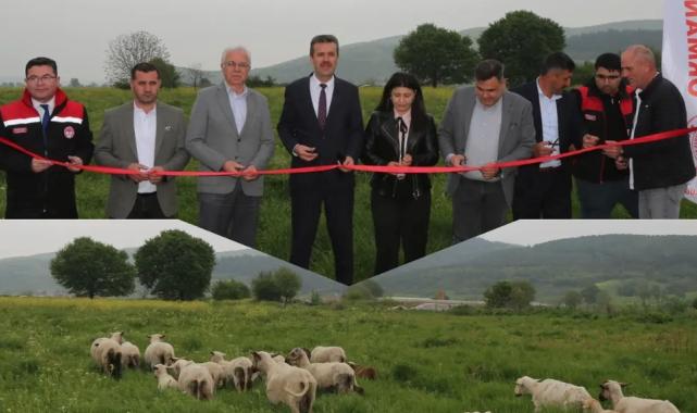 Bursa’da mera ıslahıyla hayvancılık güçleniyor