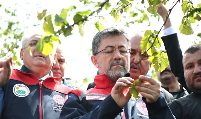 Tarihin en büyük don felaketi