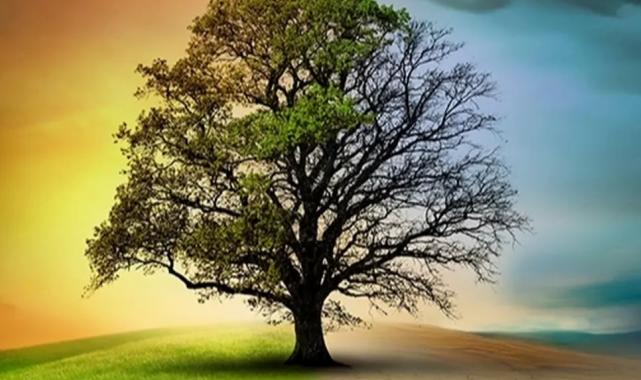 İklim Kanun teklifiyle ilgili doğru bilinen yanlışlar!