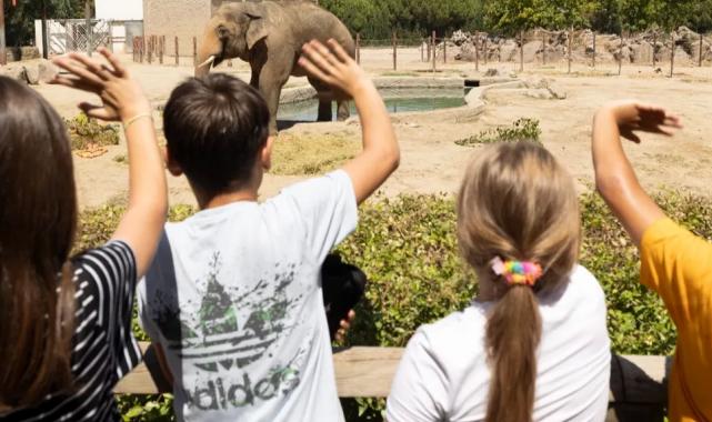 İzmir’de ‘Doğal Yaşam’a girişler 27 Nisan’a kadar ücretsiz