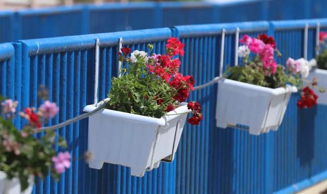 İzmir’de Güzelbahçe çiçek açtı