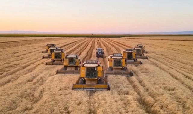 Karacabey TİGEM’den mısır hasadı ihalesi