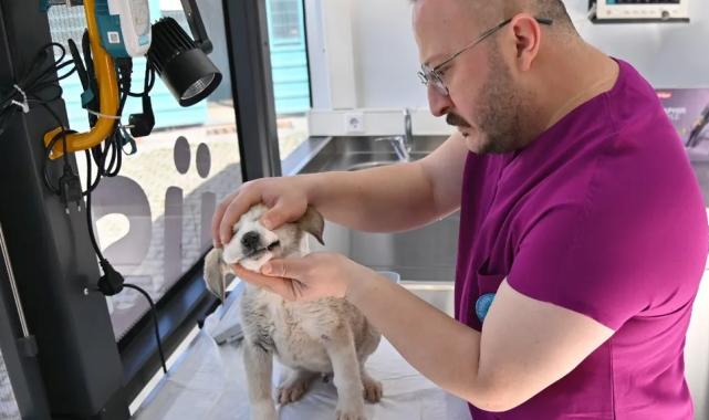 Manisa’da Vetbüs projesi hizmete başladı