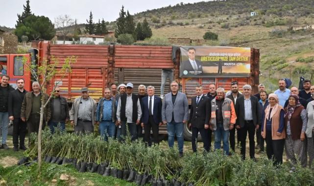 Manisa Büyükşehir yanan alanları yeşillendiriyor