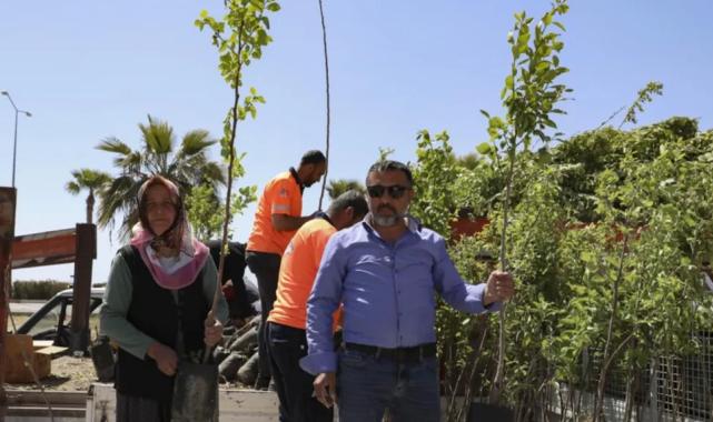 Mersinli çiftçiler Trabzon Hurması üretecek