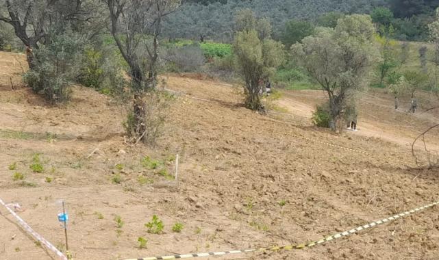 Mudanya’dan tarım arazilerinde hisseli satışlara karşı uyarı!